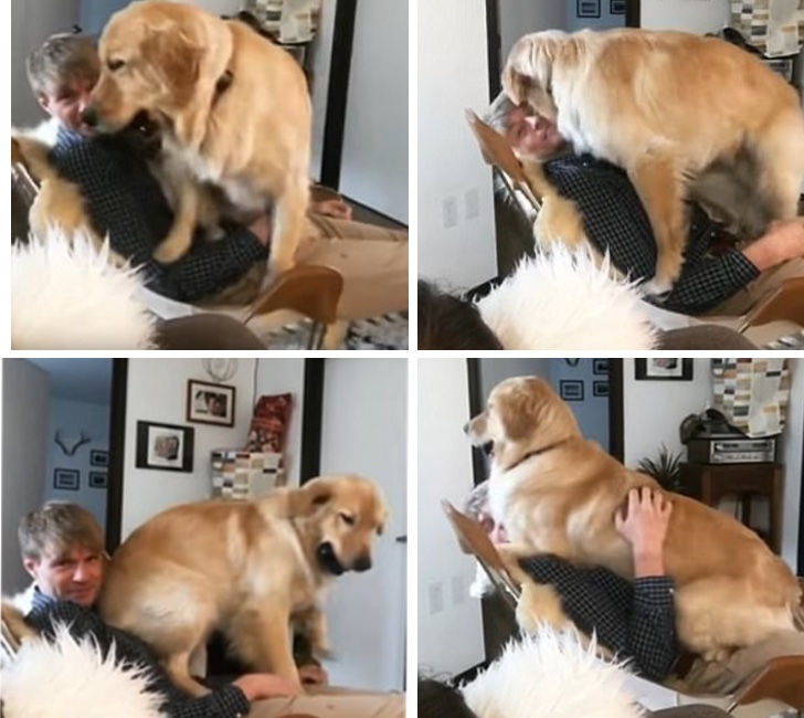 Perro atrapa humano